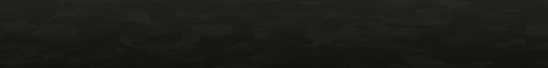 bg footer